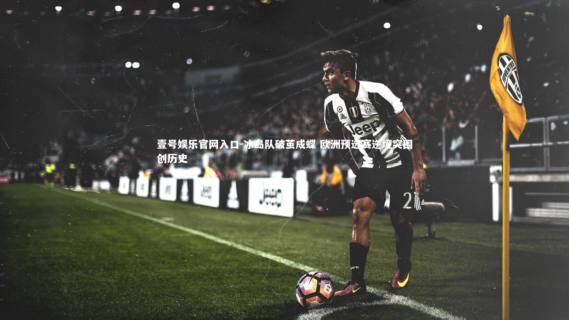 冰岛队破茧成蝶 欧洲预选赛逆境突围创历史